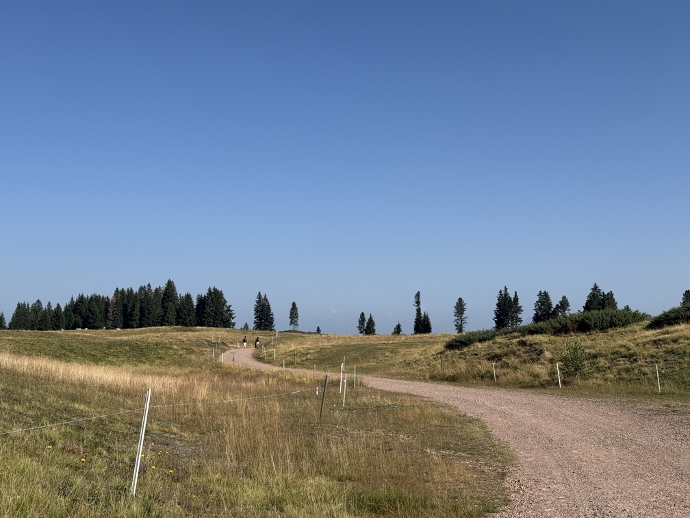 Passo Lavazè - sentiero n. 9 verso Malga Costa.
