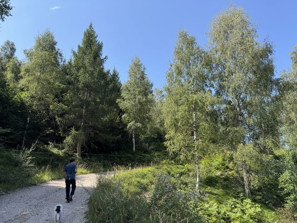 Strada Forestale Avezi - Lorenzo e Frida.