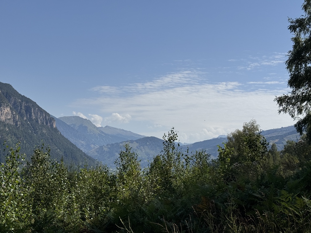 Strada Forestale Avezi - panorama verso Predazzo.