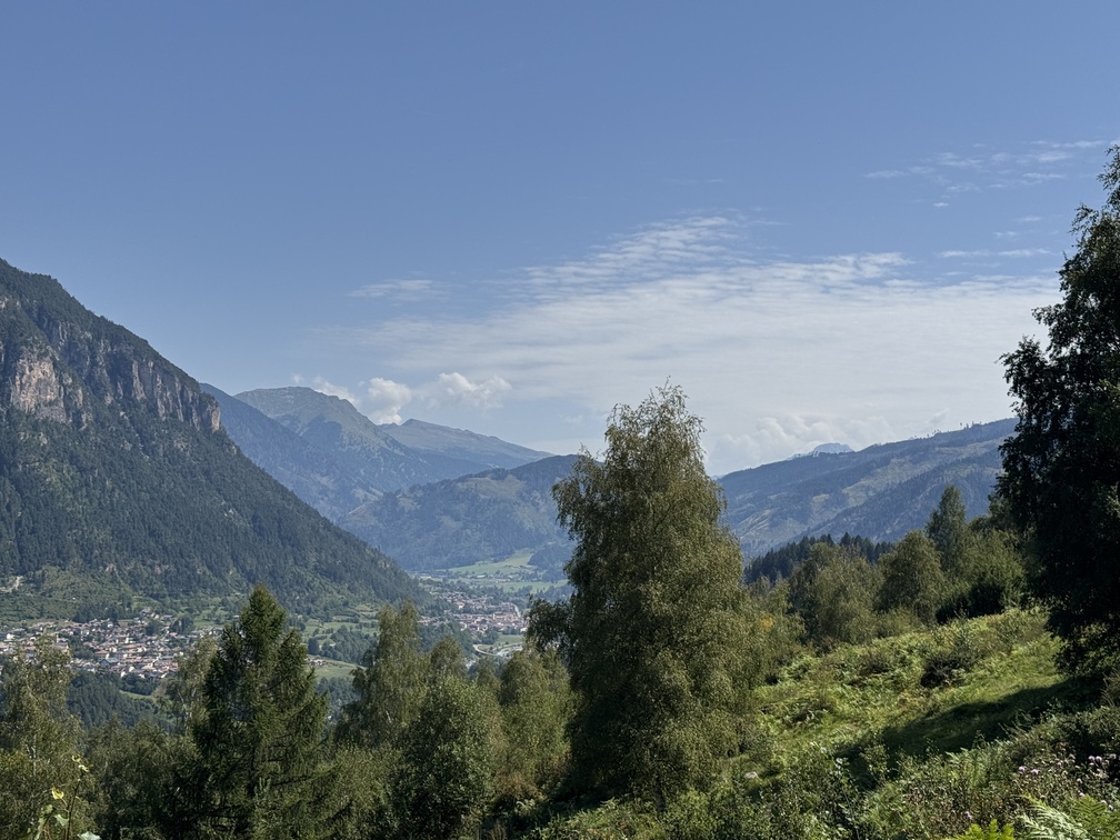 Strada Forestale Avezi - veduta su Ziano di Fiemme.