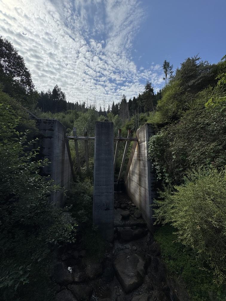 Strada Forestale Avezi - torrente Rio Val del Bus o Fassane.