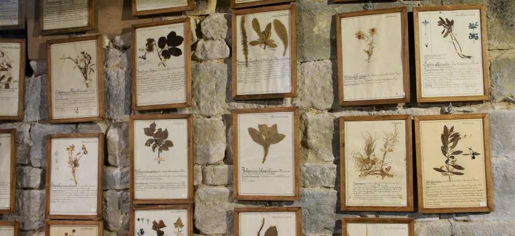 Quadri incorniciati con foglie e fiori su una parete in pietra grigia.