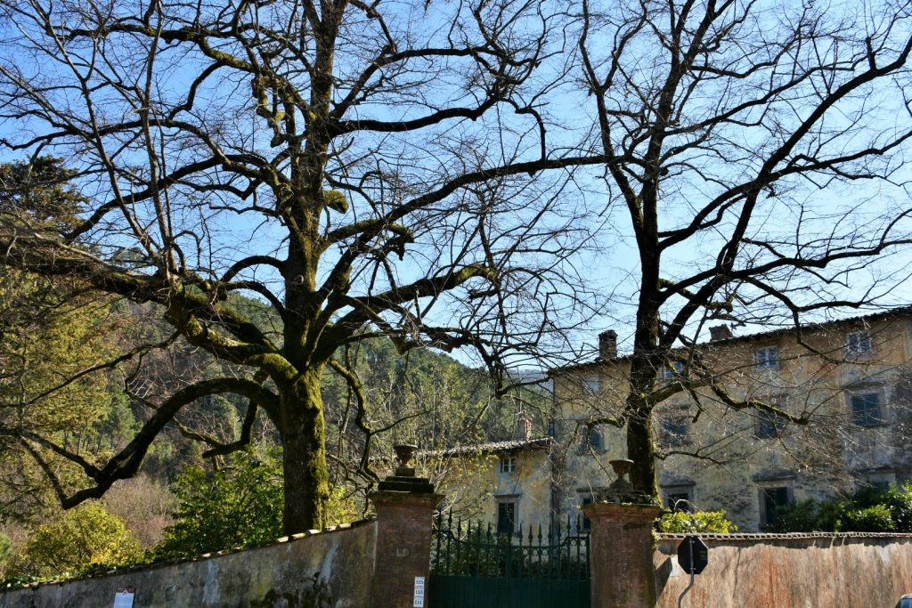 Villa ottocentesca, con cancello in ferro battute e alberi senza foglie.