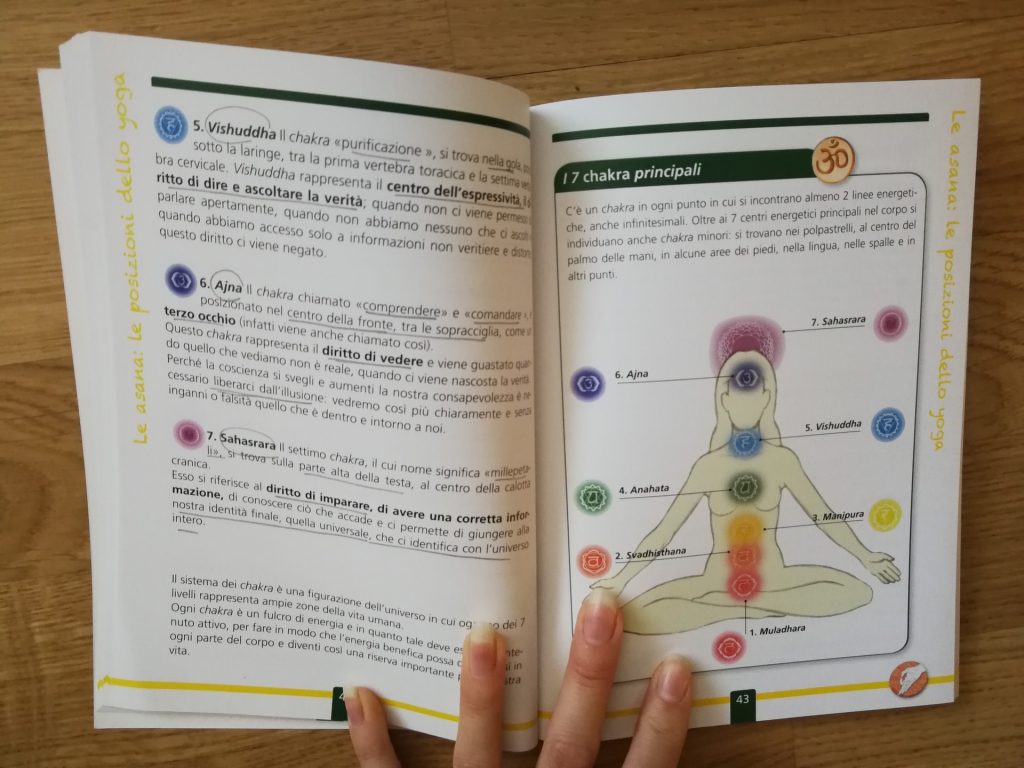 All'interno del libro dedicato allo yoga: spiegazione e figura dei diversi chakra.