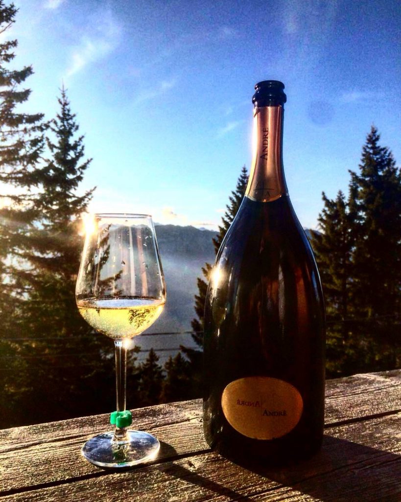 Bottiglia e bicchiere di spumante metodo classico con sfondo un bosco e le montagne.