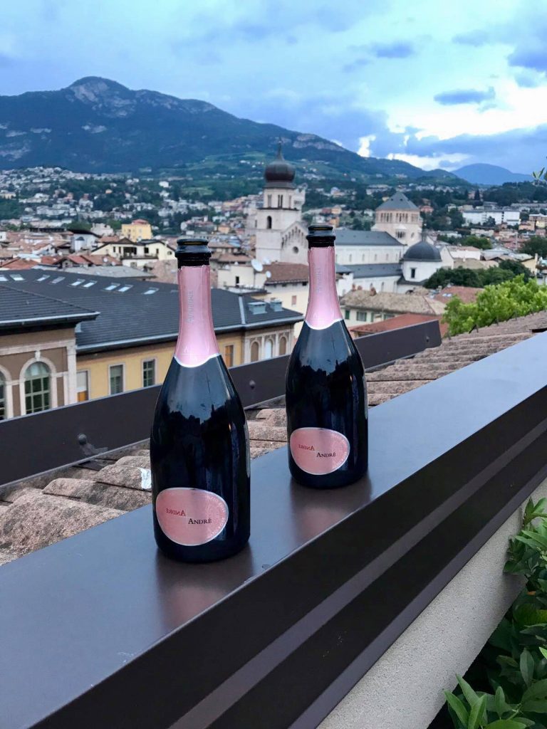 Due bottiglie di spumante rosè con sfondo una città e delle montagne.