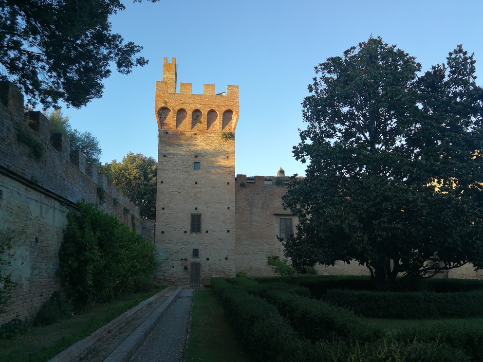 Castello di Oliveto - torre merlata nel cortile interno, siepi basse, alberi, cinta muraria.