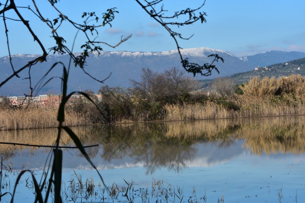 Fenicotteri Lago di Peretola: vista delle montagne innevate e riflesse nel lago.