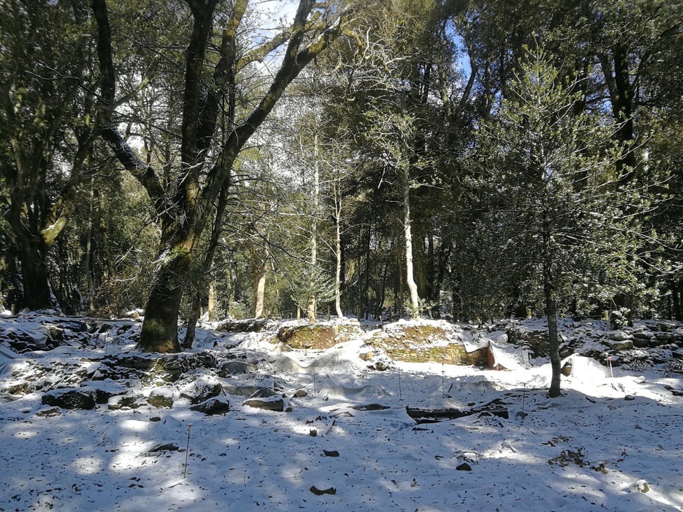 Scavi etruschi di Pietramarina: alcune pietre, alberi e neve.