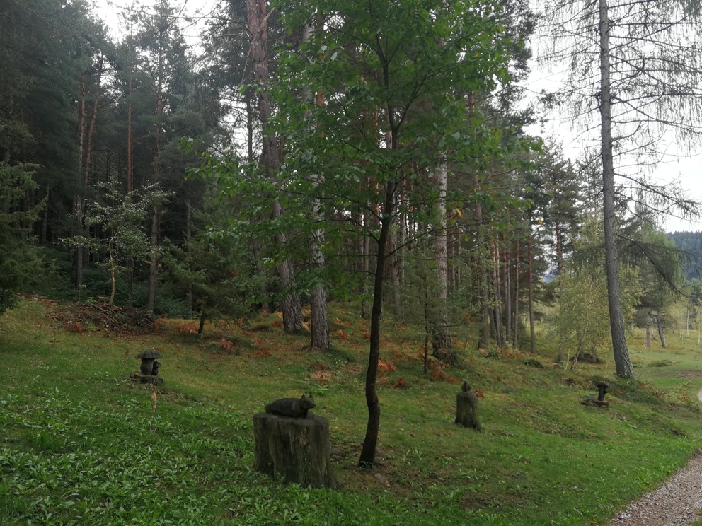 Biotopo del Bronzin - bosco di betulle e altri alberi, statue di legno con intagliati animali.