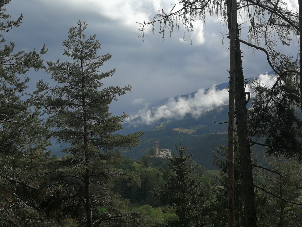 Biotopo del Bronzin - scorcio nel bosco con vista su Castello e nuvole molto basse.