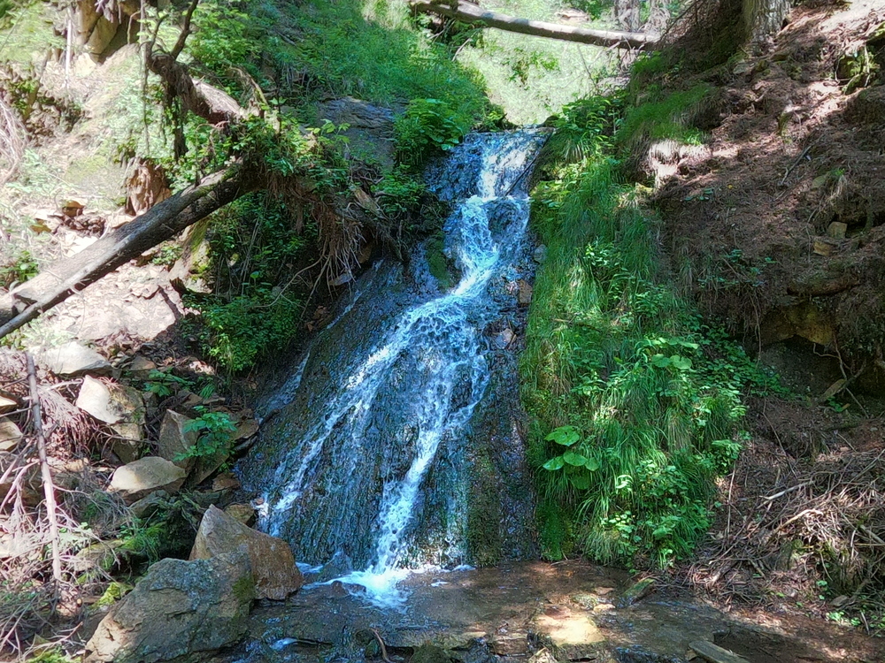 Percorso delle cascatelle - Piccola cascata con verde di erba e tronchi.