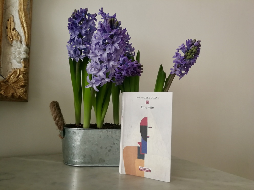 Libro Due Vite, visto di copertina, accanto a vaso di latta con dentro bulbi di giacinto in fiore, foglie verdi e fiori lilla; si scorge anche una cornice gialla e il piano in marmo chiaro.
