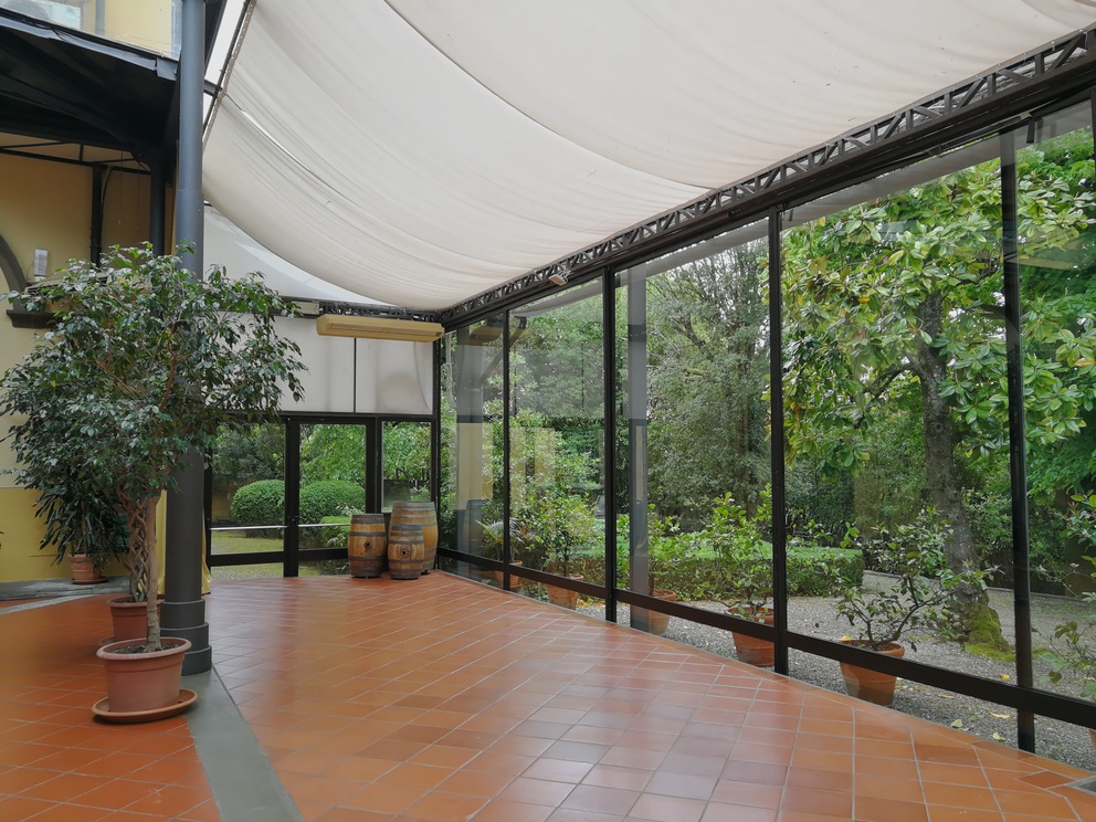 Villa Castelletti - giardino d'inverno con olivo, vetrate e fuori si vedono altri vasi e alberi.