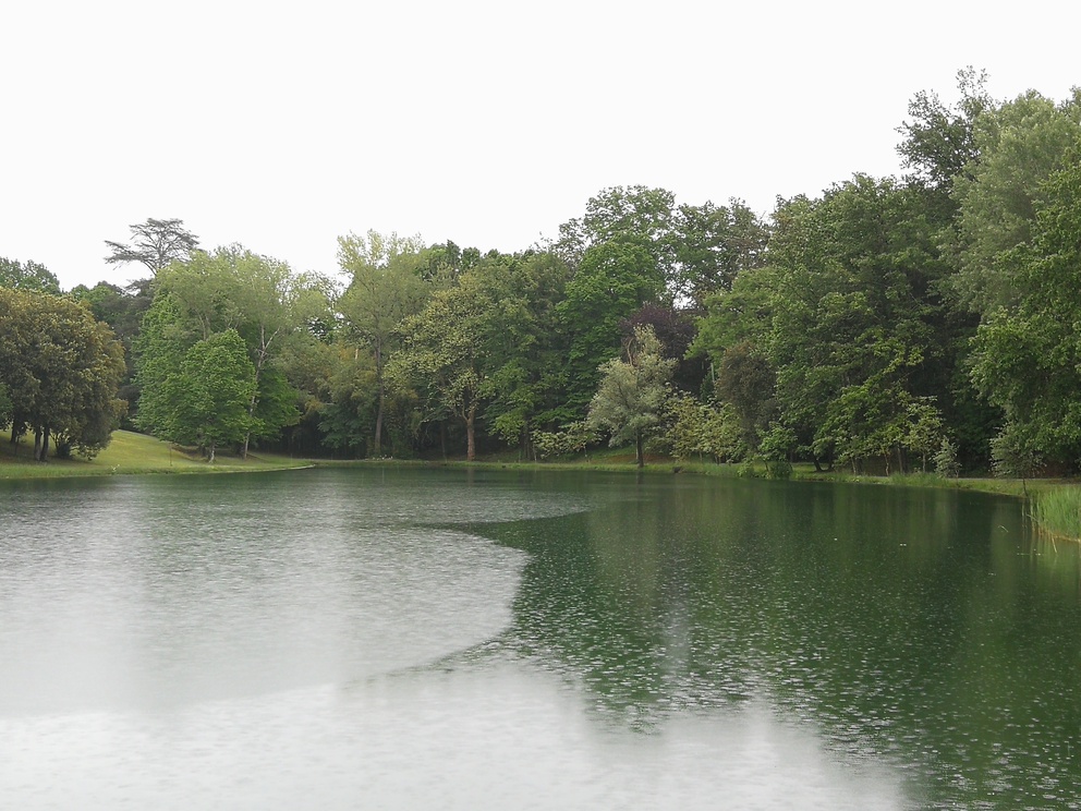 Villa Castelletti - parco con laghetto e tanti alberi affacciati su di esso; molti colori e sfumature di verde.