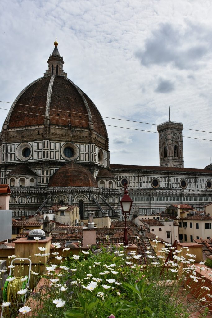 Terrazze Palazzo Pucci - panorama sul Duomo con margherite.