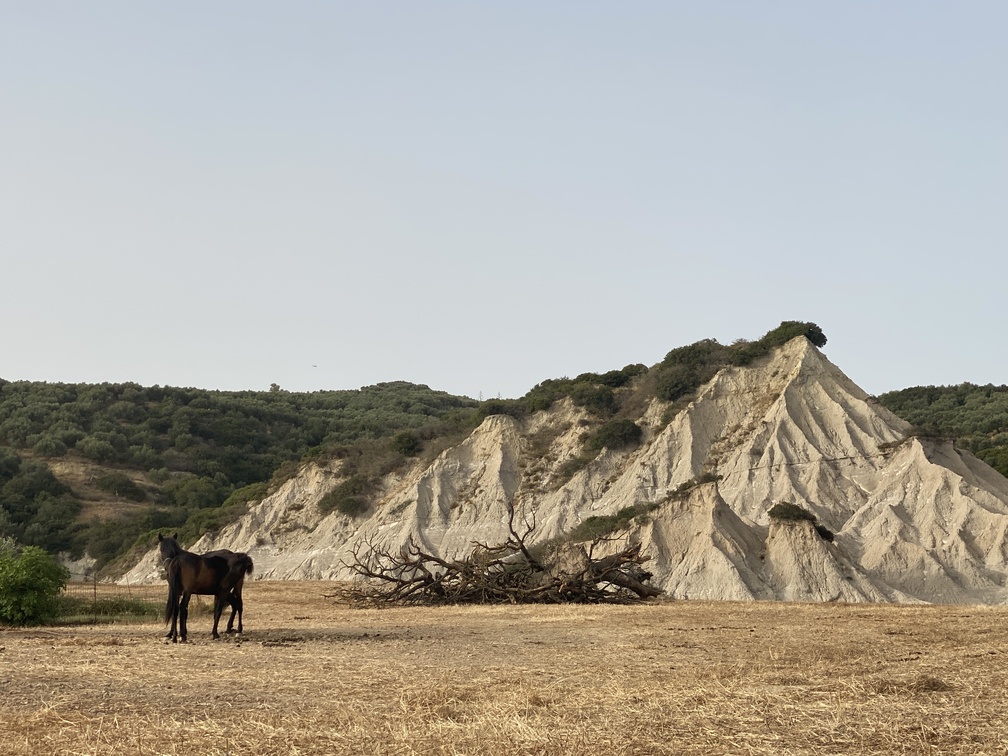 Komolithi - panorama con cavalli.