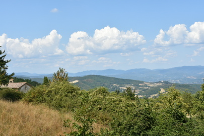 Badia del Buonsollazzo e panorama.