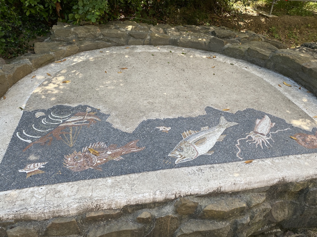 Acropoli di Populonia - mosaico dei pesci.
