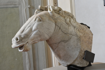 Villa Corsini a Castello - statua di cavallo.