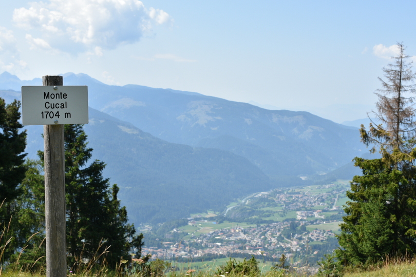 Vetta del Monte Cucal con vista su Cavalese.