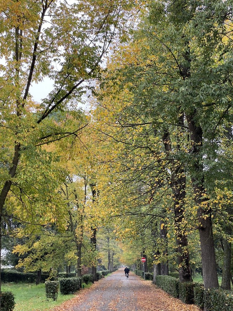 Parco delle Cascine in autunno.