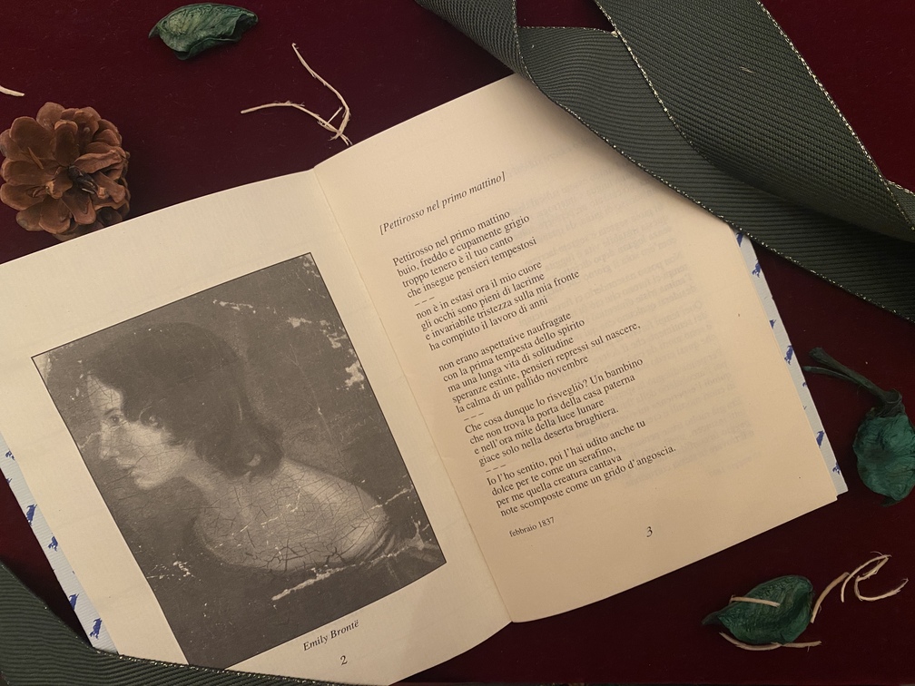 Emily Brontë, Stelle e altre poesie, Via Del Vento edizioni, Pistoia, 2005 - interno.