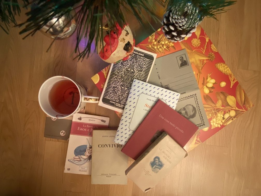 Piccoli libri sotto l'albero di Natale.