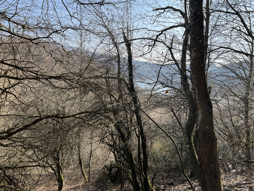 Vista del Lago del Brasimone dal sentiero CAI 11.
