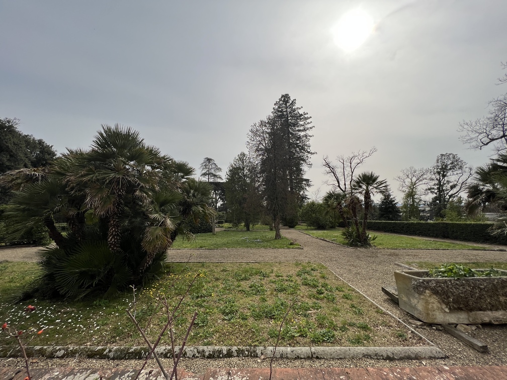Villa di Careggi - giardino all'italiana.