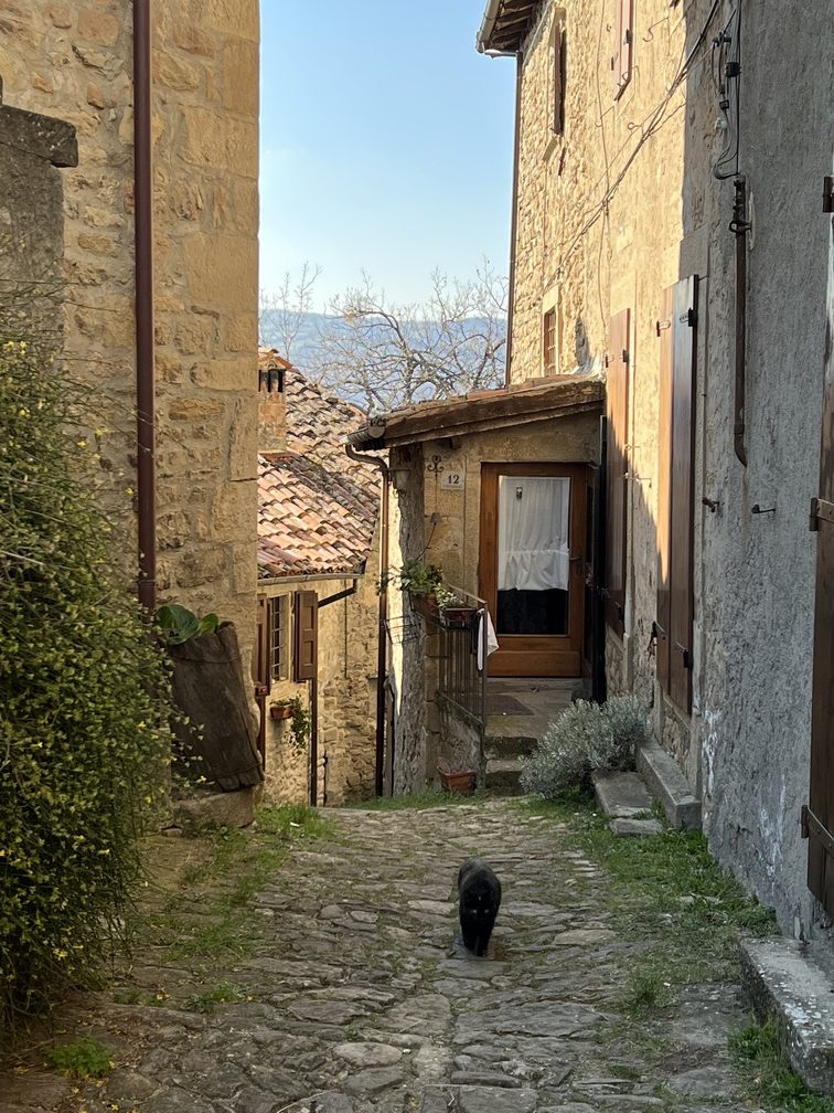 Borgo La Scola.