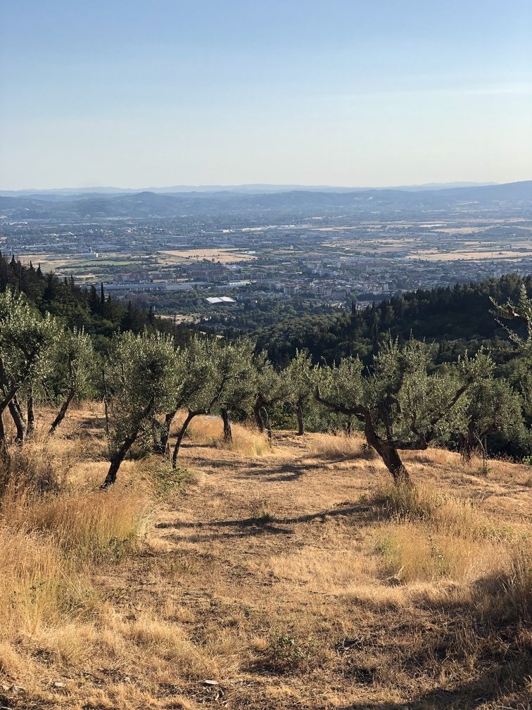 Panorama su Sesto Fiorentino.