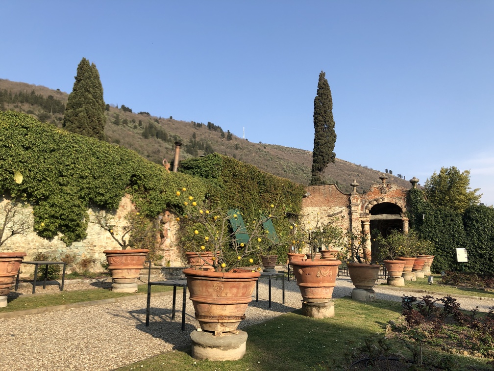 Villa Aldobrandini Banchieri Rospigliosi - giardino all'italiana.