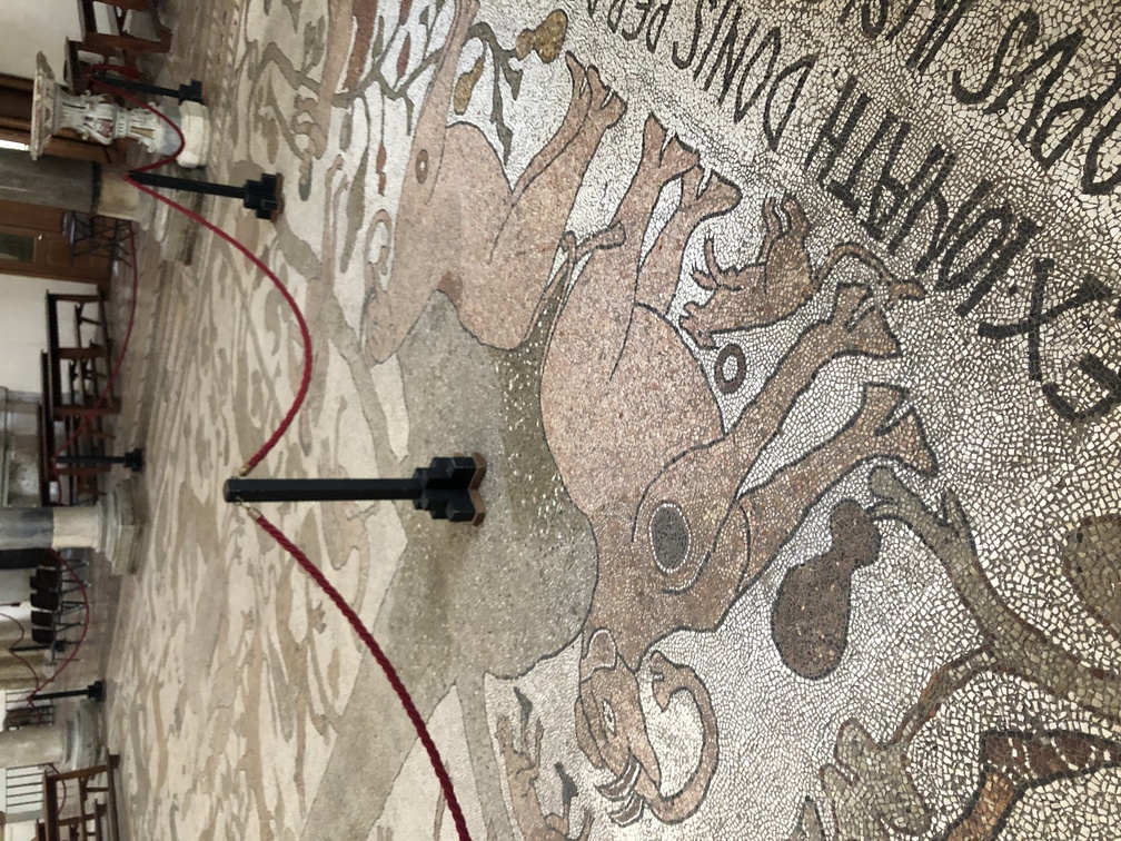 Cattedrale di Otranto - mosaico.
