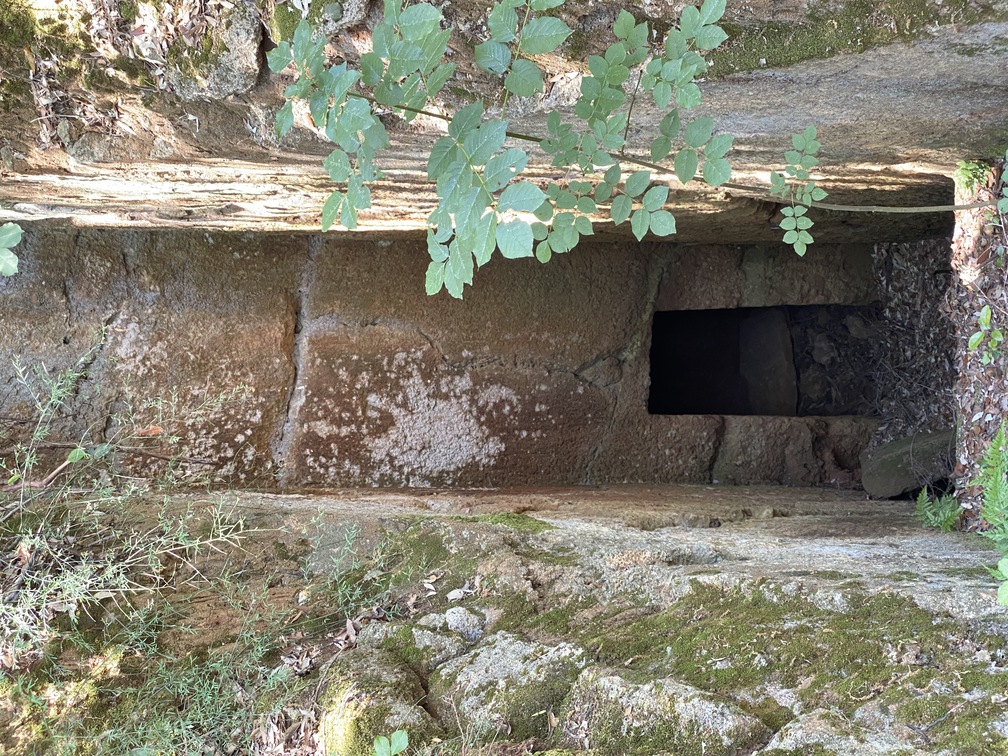 Necropoli delle Grotte.