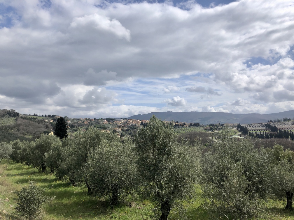 Panorama da via di Canonica - Montorsoli.
