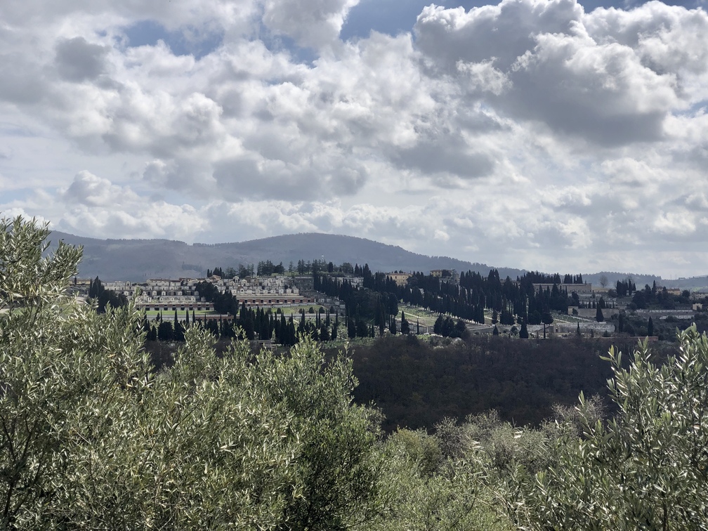 Panorama da via di Canonica - Trespiano.