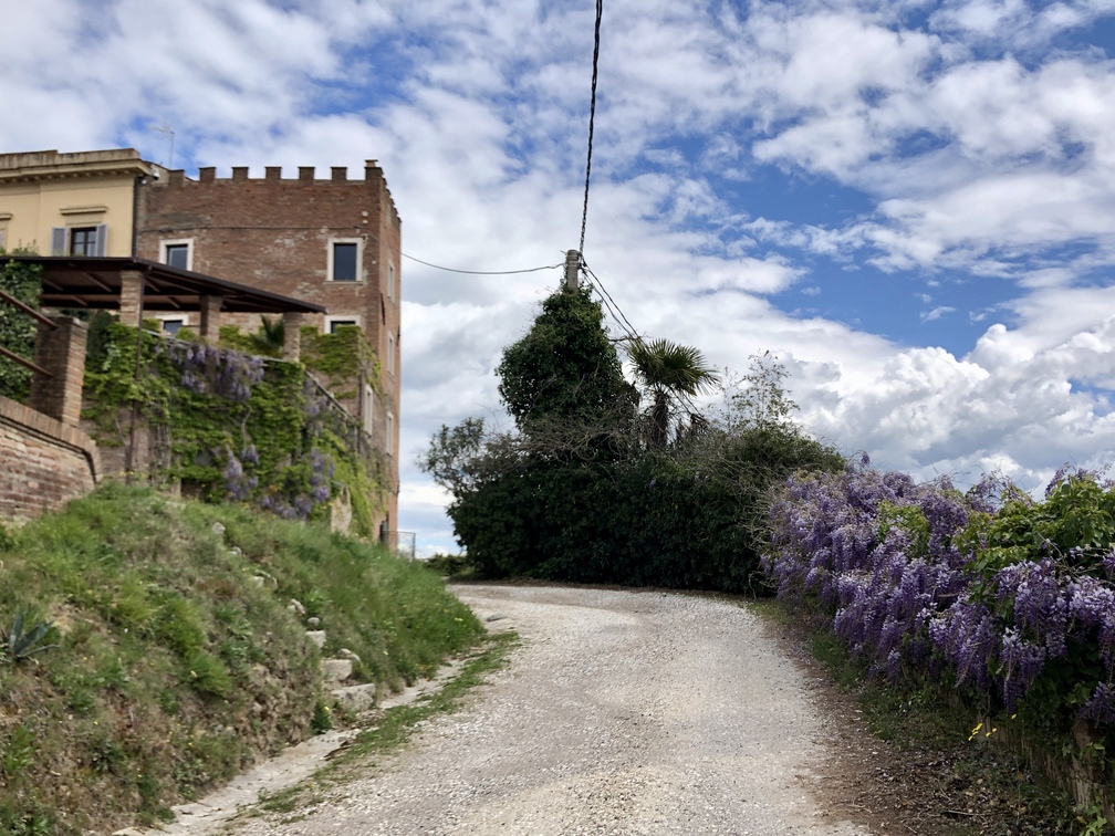 Capannoli - Villa Baciocchi.
