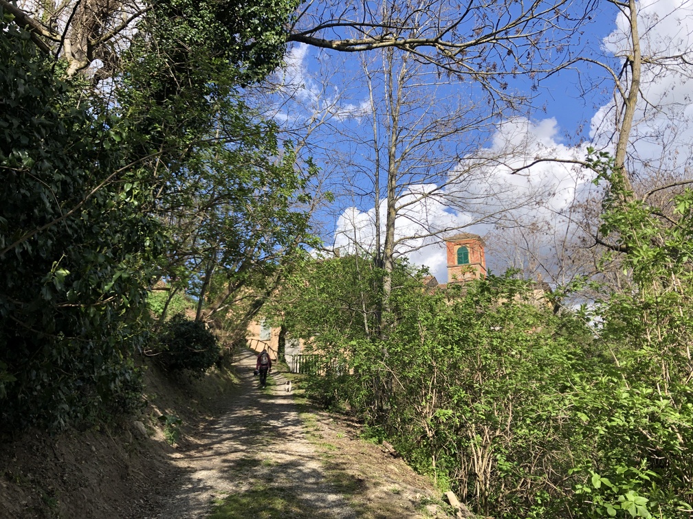 Sentiero n. 162 verso la Chiesa di Santa Maria di Labante.