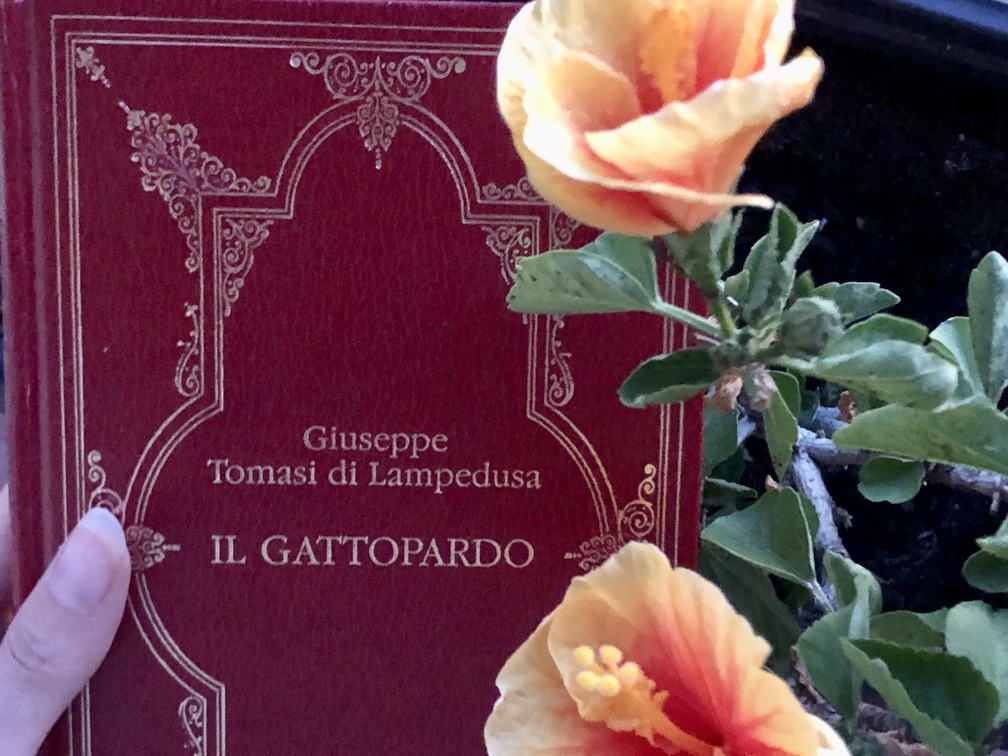 Giuseppe Tomasi di Lampedusa, "Il Gattopardo".