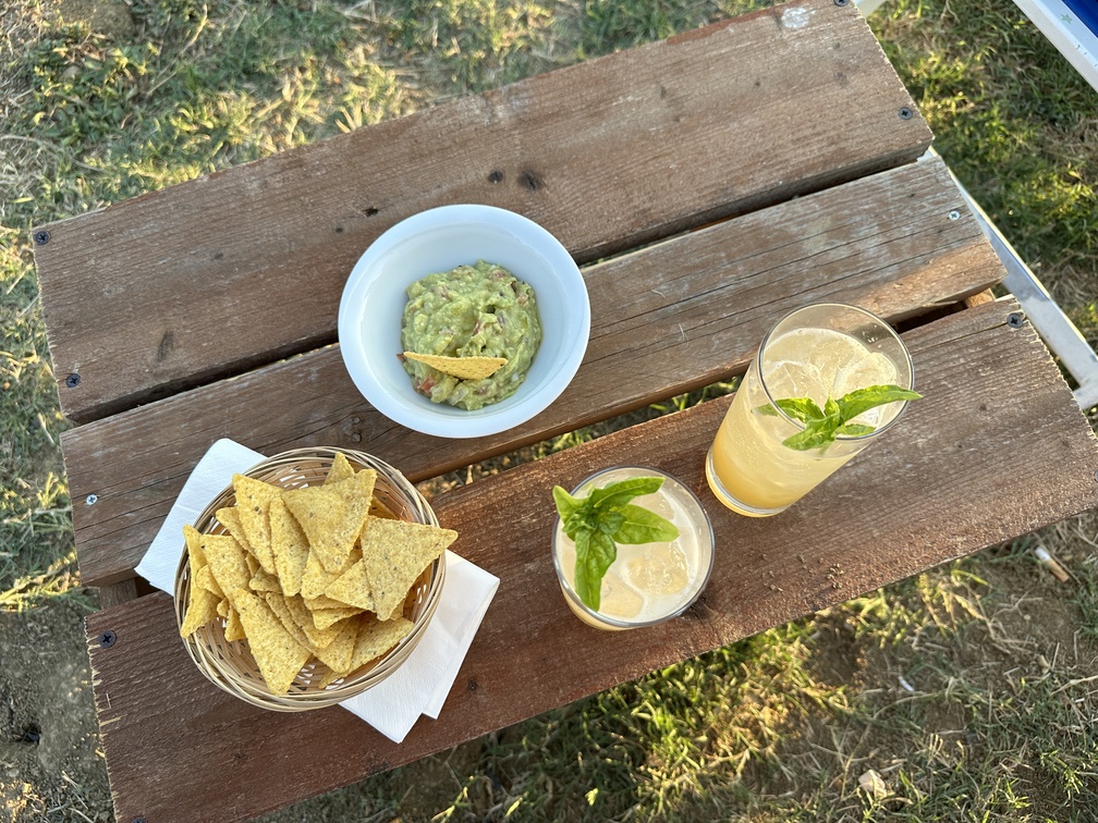 Easyliving in Fattoria - aperitivo con analcolici, guacamole e nachos.