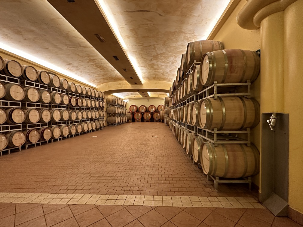 Società Agricola Tolaini Winery - barriccaia. 