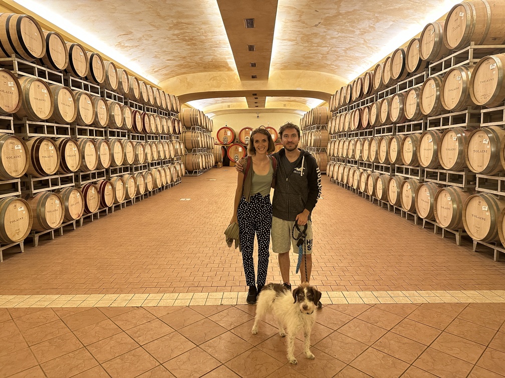 Società Agricola Tolaini Winery -  Lorenzo, Federica e Frida nella barriccaia. 