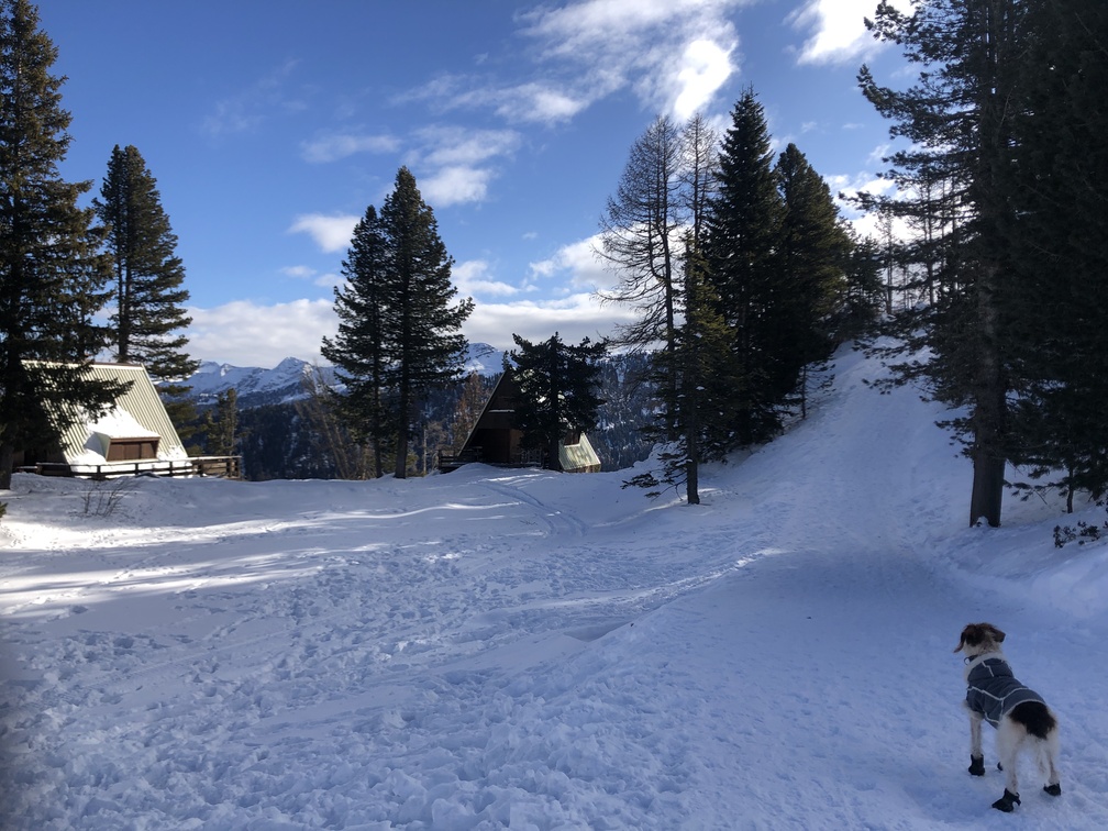 Alpe Cermis - passeggiata invernale Orizzonti Dolomitici.