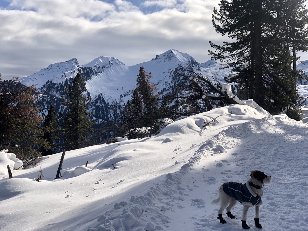 Alpe Cermis - passeggiata invernale Orizzonti Dolomitici.