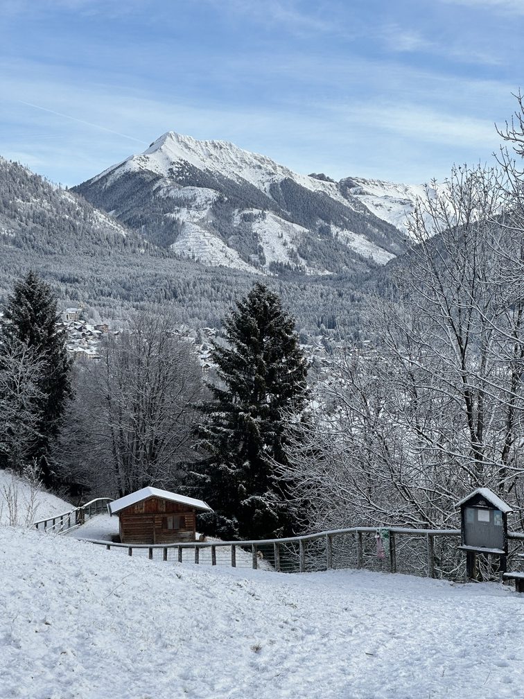 Chiesetta degli Alpini - area degli animali e veduta su Pala Santa.